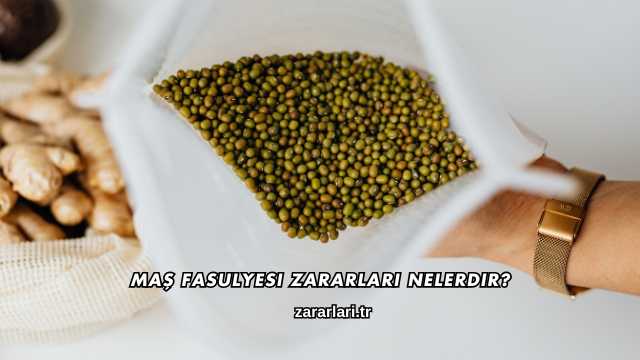Maş Fasulyesi Zararları Nelerdir?