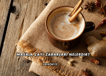 Masala Çayı Zararları Nelerdir?
