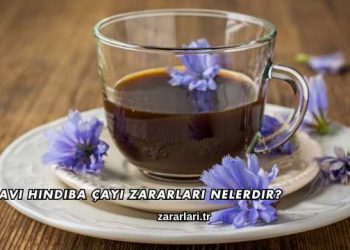 Mavi Hindiba Çayı Zararları Nelerdir?