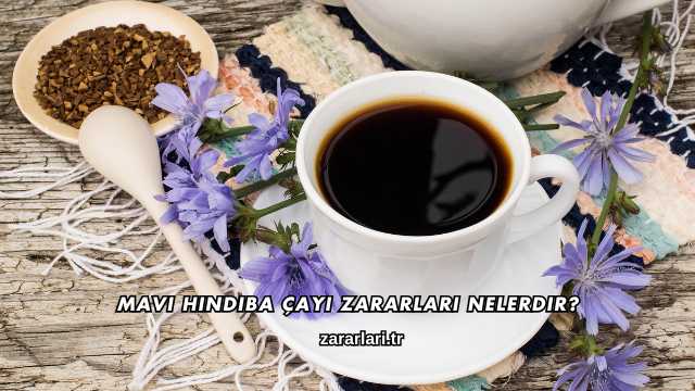 Mavi Hindiba Çayı Zararları Nelerdir?