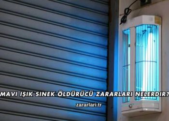 Mavi Işık Sinek Öldürücü Zararları Nelerdir?