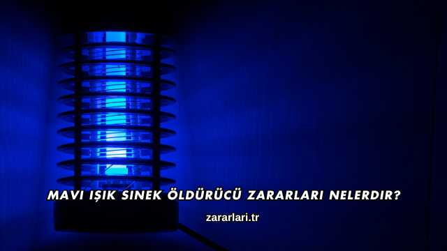 Mavi Işık Sinek Öldürücü Zararları Nelerdir?