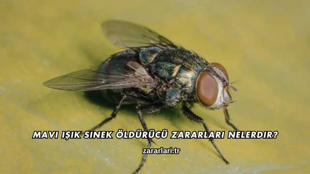 Mavi Işık Sinek Öldürücü Zararları Nelerdir?