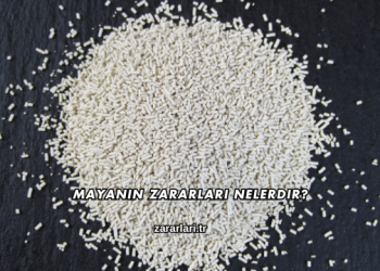 Mayanın Zararları Nelerdir?