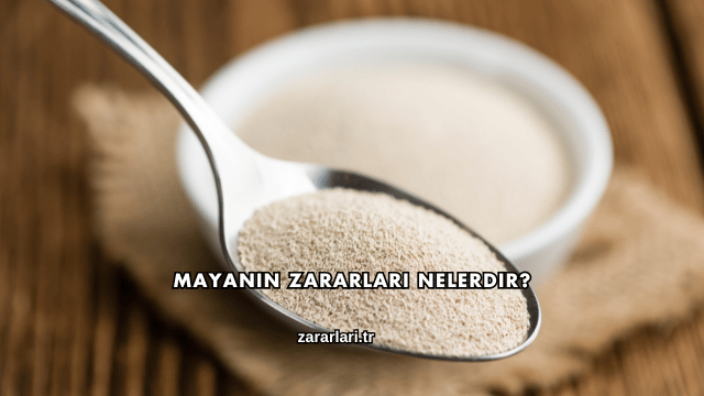 Mayanın Zararları Nelerdir?