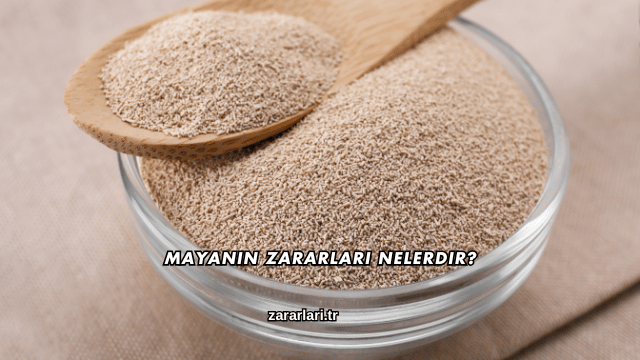 Mayanın Zararları Nelerdir?