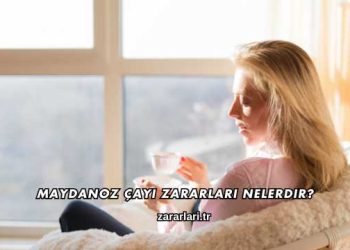 Maydanoz Çayı Zararları Nelerdir?