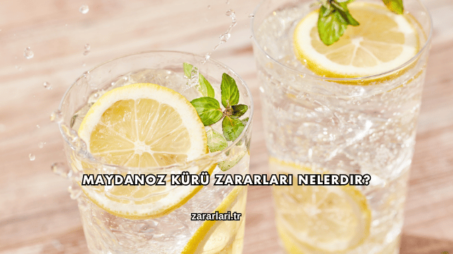 Maydanoz Kürü Zararları Nelerdir?