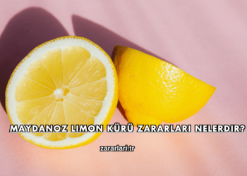 Maydanoz Limon Kürü Zararları Nelerdir?
