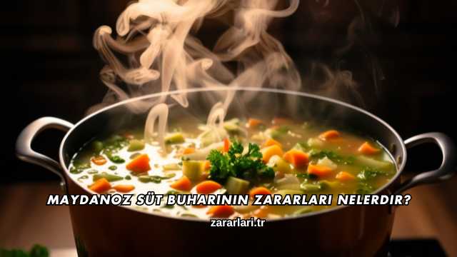 Maydanoz Süt Buharının Zararları Nelerdir