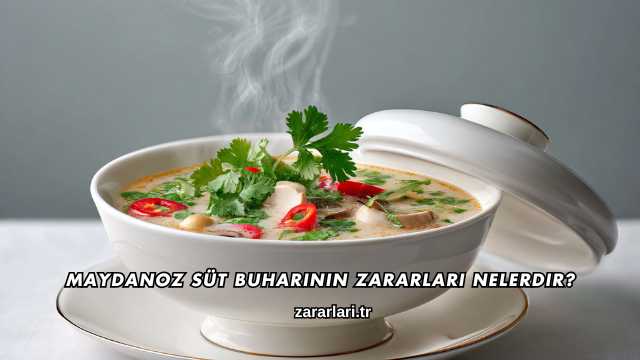 Maydanoz Süt Buharının Zararları Nelerdir