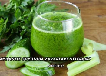 Maydanoz Suyunun Zararları Nelerdir?