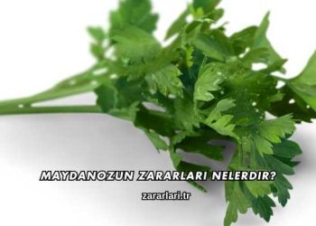 Maydanozun Zararları Nelerdir?