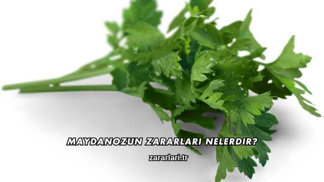 Maydanozun Zararları Nelerdir?