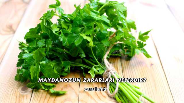 Maydanozun Zararları Nelerdir?