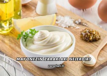 Mayonezin Zararları Nelerdir?