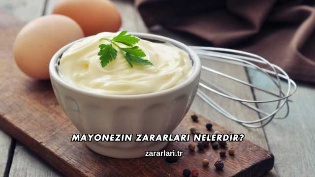 Mayonezin Zararları Nelerdir?
