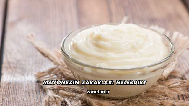 Mayonezin Zararları Nelerdir?