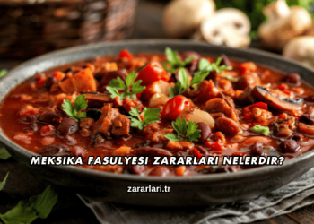 Meksika Fasulyesi Zararları Nelerdir?