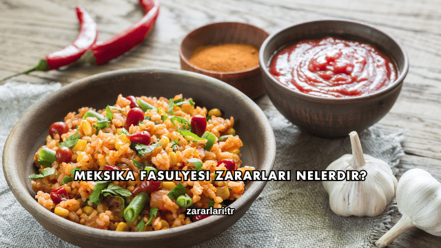 Meksika Fasulyesi Zararları Nelerdir?
