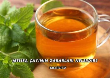 Melisa Çayının Zararları Nelerdir?