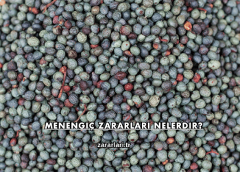 Menengiç Zararları Nelerdir?