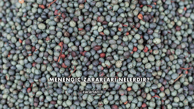 Menengiç Zararları Nelerdir?