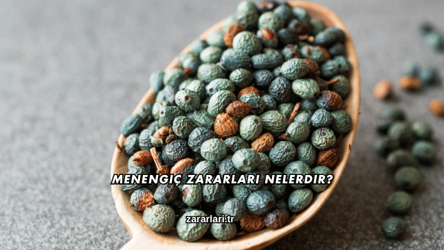 Menengiç Zararları Nelerdir?