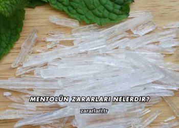Mentolün Zararları Nelerdir?
