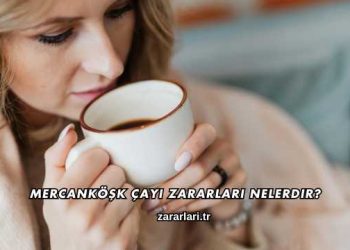 Mercanköşk Çayı Zararları Nelerdir?
