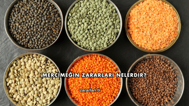 Mercimeğin Zararları Nelerdir?