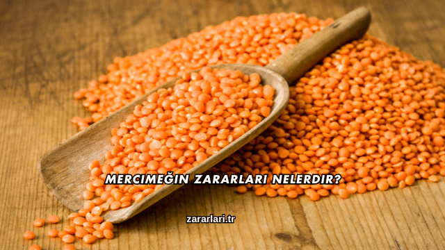 Mercimeğin Zararları Nelerdir?