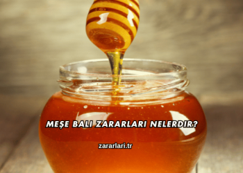 Meşe Balı Zararları Nelerdir?