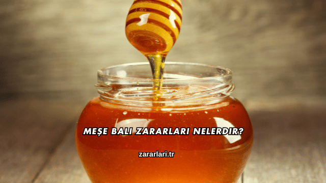 Meşe Balı Zararları Nelerdir?