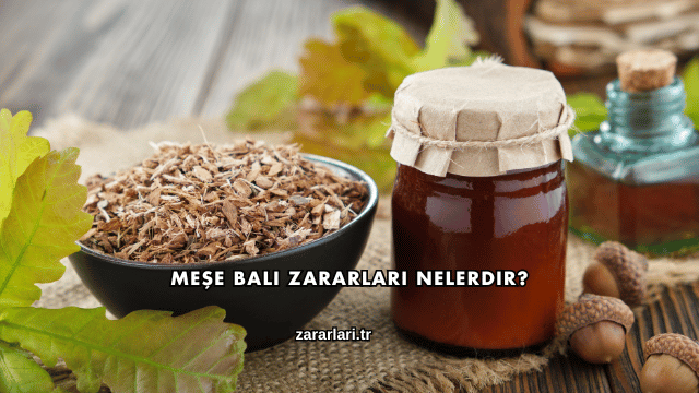 Meşe Balı Zararları Nelerdir?