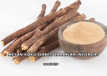 Meyan Kökü Şerbeti Zararları Nelerdir?