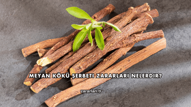 Meyan Kökü Şerbeti Zararları Nelerdir?