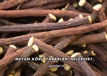 Meyan Kökü Zararları Nelerdir?
