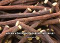 Meyan Kökünün Zararları Nelerdir?