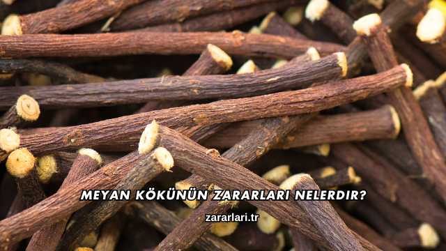 Meyan Kökünün Zararları Nelerdir?