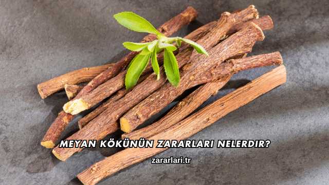 Meyan Kökünün Zararları Nelerdir?