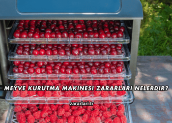 Meyve Kurutma Makinesi Zararları Nelerdir?