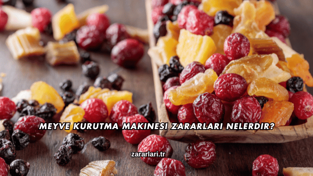 Meyve Kurutma Makinesi Zararları Nelerdir?