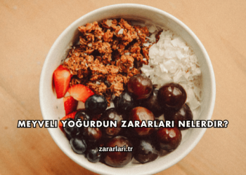 Meyveli Yoğurdun Zararları Nelerdir?