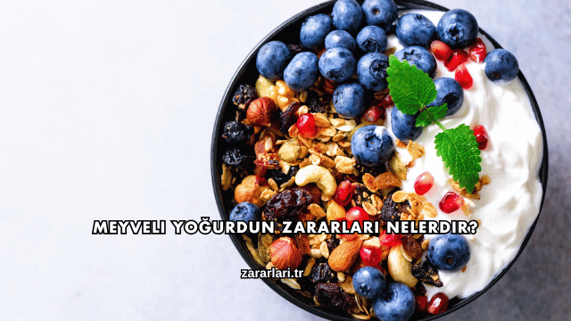 Meyveli Yoğurdun Zararları Nelerdir?