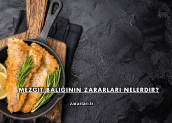 Mezgit Balığının Zararları Nelerdir?