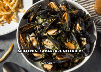 Midyenin Zararları Nelerdir?
