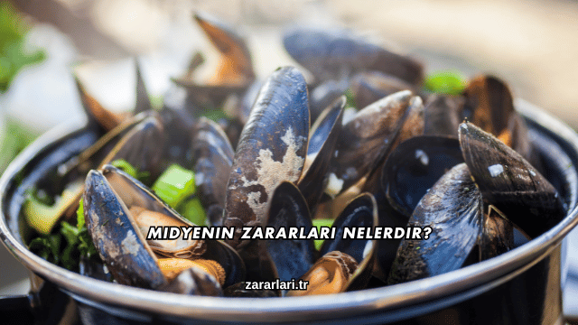 Midyenin Zararları Nelerdir?