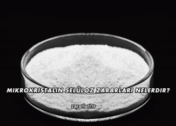Mikrokristalin Selüloz Zararları Nelerdir?