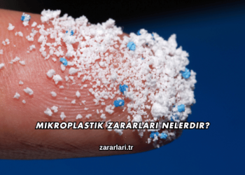 Mikroplastik Zararları Nelerdir?